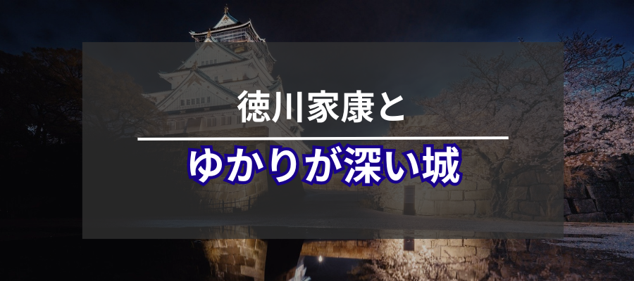 徳川家康とゆかりが深い城