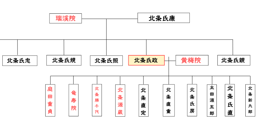 家系図｜北条氏政の一族